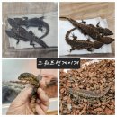 와우펫앤쥬(기장점) 이미지