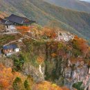 중국단풍길 이미지