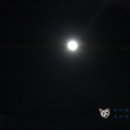 베르사체까페