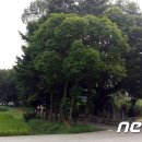 이백면 문화마을 이미지