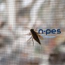 엔페스호남