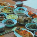 느티나무 민박 이미지