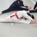 지축 타이거킥스태권도장 이미지