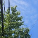 아랫장약국 이미지