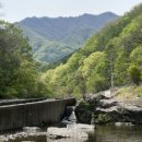 명지산 계곡 스테이 이미지