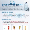 [건강상식 108] 여름철 올바른 수분 섭취하기 이미지