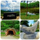 제187차 정기산행 안내 운탄고도1330.강원,영월.정선 이미지