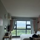 스테이인제주
