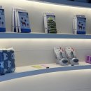 브라비 펫케어 이미지