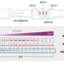 위메디팜 이미지
