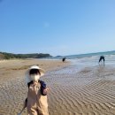 별빛하늘 | [캠핑] 서천 별빛갯벌(하늘) 캠핑장 이용 후기(B3)