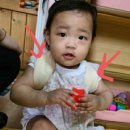 (유) 정인 이미지