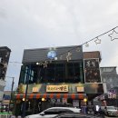 (주)인동 | 구미인동술집 몽월 연어 얼큰차돌나베 후기