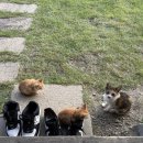 평사리의 그집 이미지