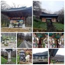 함평나비(무안) 이미지