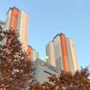 로뎀트리스파 이미지