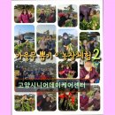 시니어 행복교실 | 고양시 노인주간보호센터 요양원 요양센터 정보 추천 고양시니어데이케어센터 어르신 맞춤 케어 집중