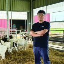 얼룩목장 이미지