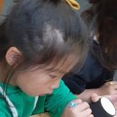 보듬이유치원 이미지