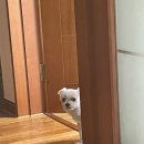 SS베이커리