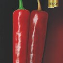 신흥종묘사 이미지