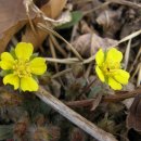 나리농장 이미지