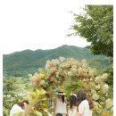 선미농장 이미지