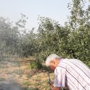 개인(전명자) 이미지