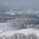 방문목장 이미지