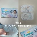 팸퍼스 신제품 엔젤브리즈 소프트팬티 베이비드라이 비교 사용 후기