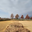 백진공원(파크골프장) 이미지