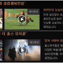 코리아 승마