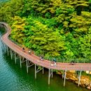 춘천 자전거 대여점 이미지