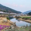 철수마을 네이버블로그