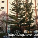 국민은행(유니온빌딩)옆 이미지