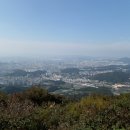 대평 Daum카페