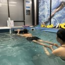 플러스짐 | 용인 수영강습 플러스짐 2:1 수영 PT 성인 수영 레슨 후기