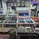 고창전통(상설)시장 이미지