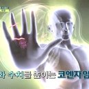 비엔플러스 이미지