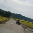 경북오토바이 - 포항시 북구 새마을로 15 | 경북오토바이