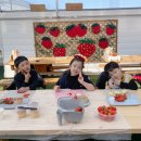 온누리팜 이미지