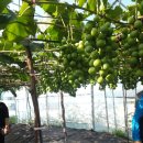 진순농장 이미지