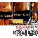 매일점핑