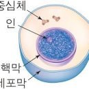 한솔중학교 이미지