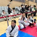 케이탑태권도 이미지