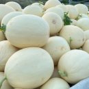 백야농장 이미지