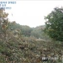 백암초등학교수정분교장 이미지