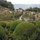 외도보타니아 이미지