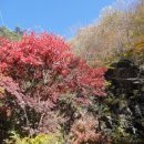 지리산 2 - 피아골에 민박집 거쳐 산행을 나서 표고막에! 이미지