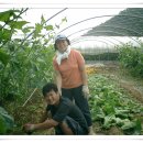 화천농장 이미지